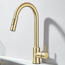 Torneira Gourmet de Pia de Cozinha Extraível - EasySpray